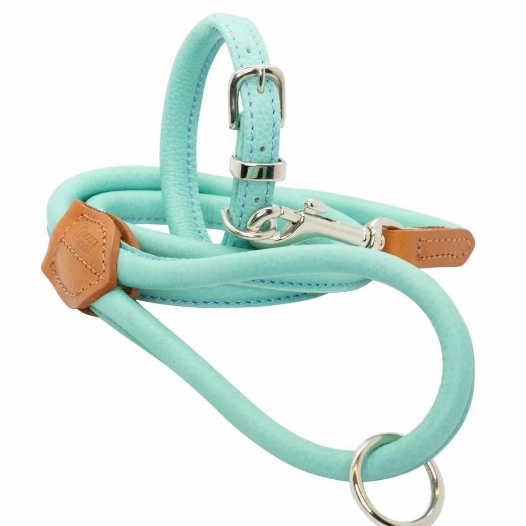 Aqua Rolled Leather Dog Collar by Dogs & Horses