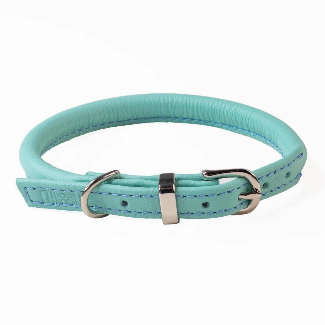 Aqua Rolled Leather Dog Collar by Dogs & Horses