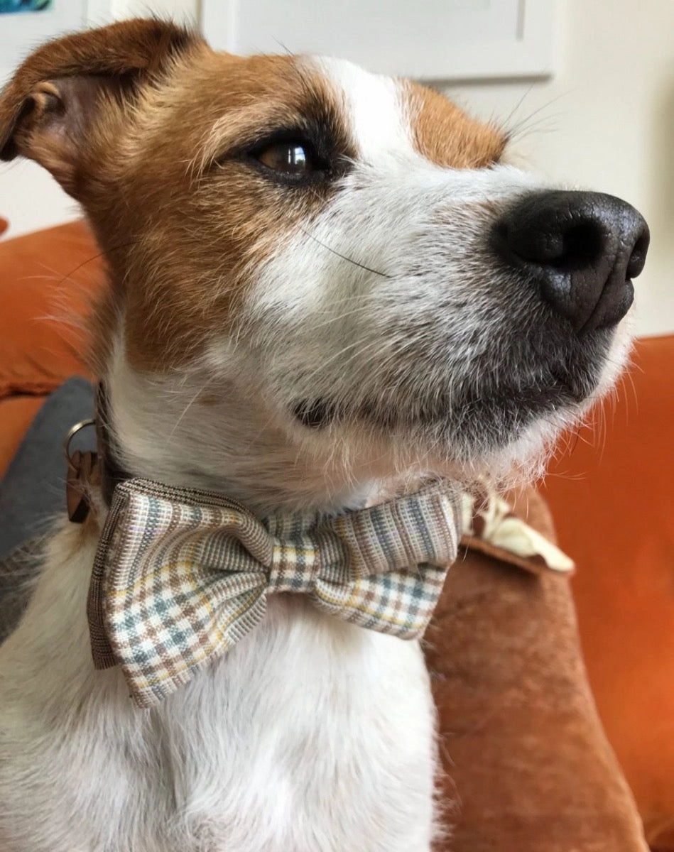 Astaire Bow Tie Dog Collar and Velvet Lead Set