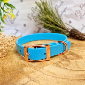 Baby Blue Biothane Dog Collar