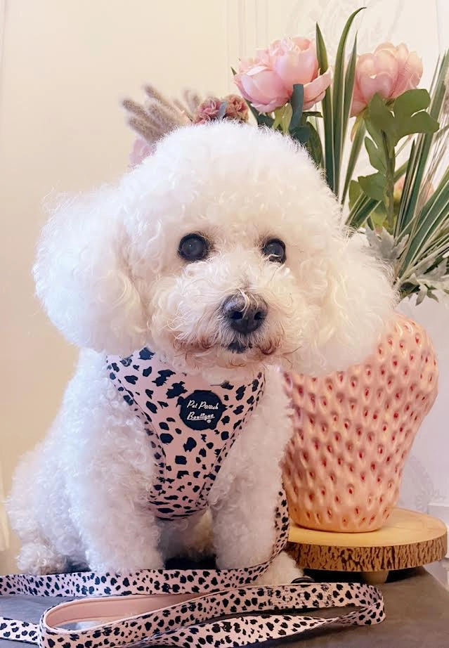 Beige & Black Scruffy Dots Dog Harness