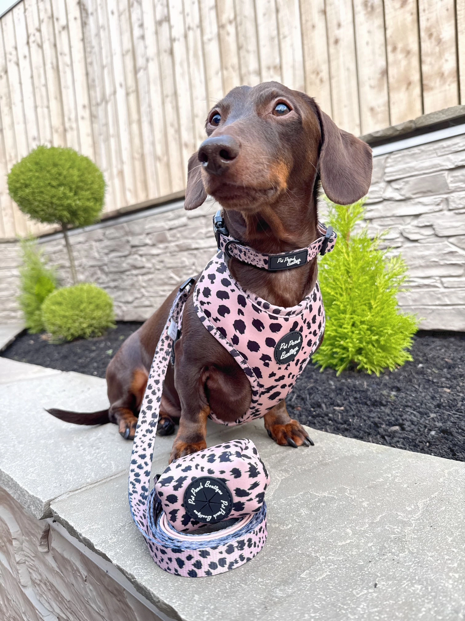 Beige & Black Scruffy Dots Poo Bag Holder