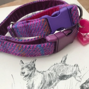 Berry Harris Tweed Designer Dog Collar