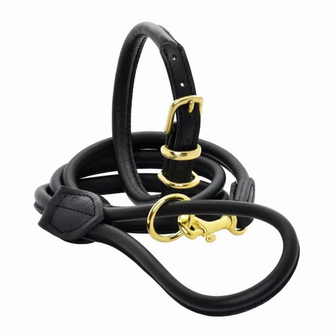 Black With Brass Rolled Leather Dog Collar by Dogs & Horses