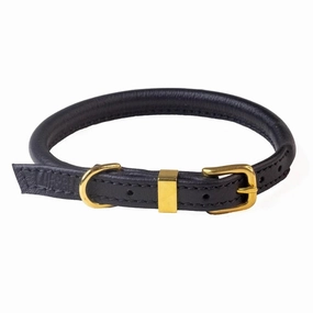 Black With Brass Rolled Leather Dog Collar by Dogs & Horses
