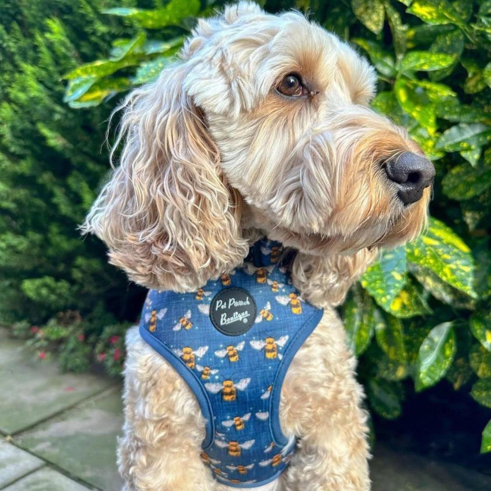 Blue Buzzy Bumble Bee Dog Harness