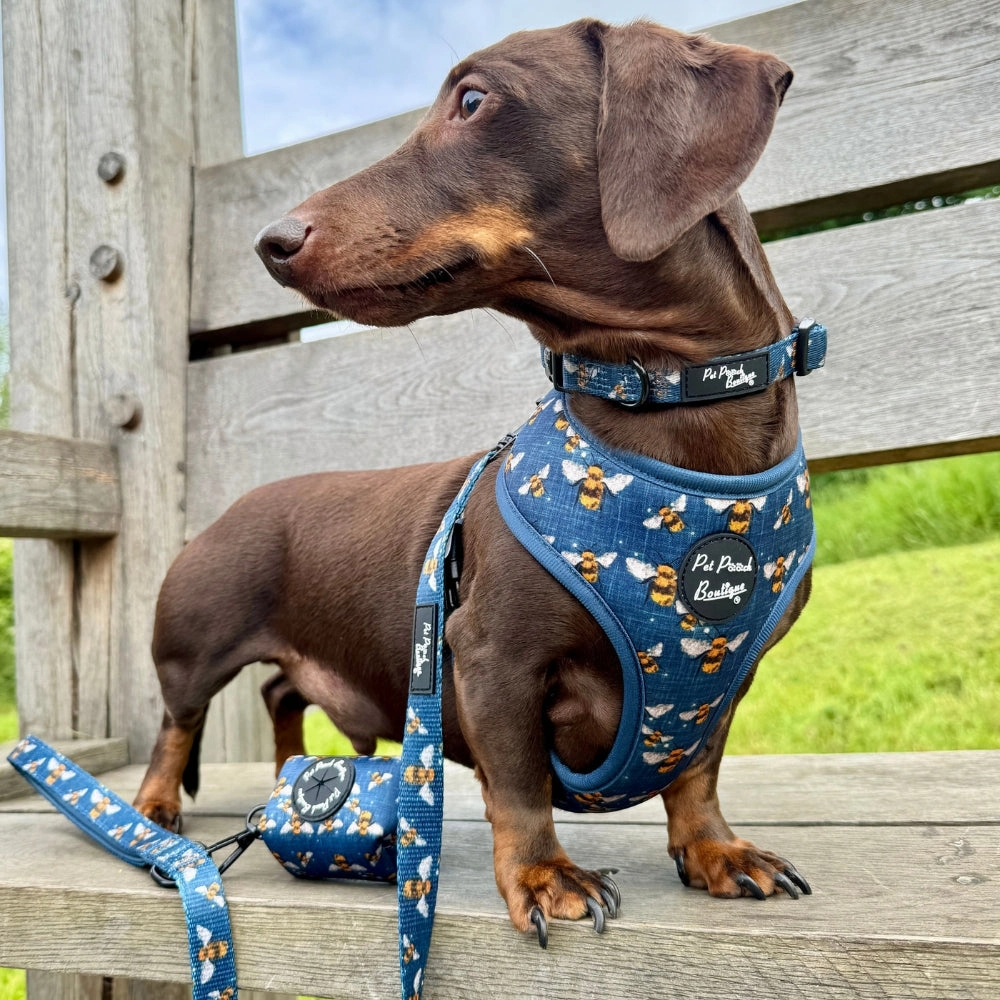 Blue Buzzy Bumble Bee Dog Harness