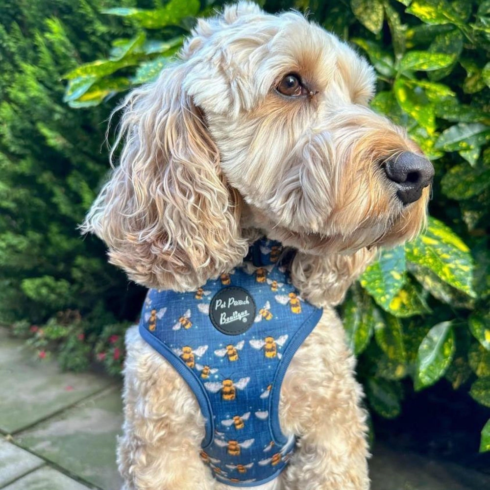 Blue Buzzy Bumble Bee Dog Harness