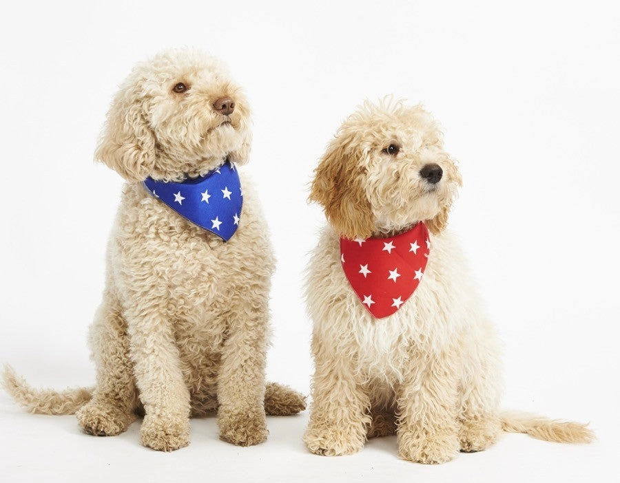 Blue Star Dog Bandana