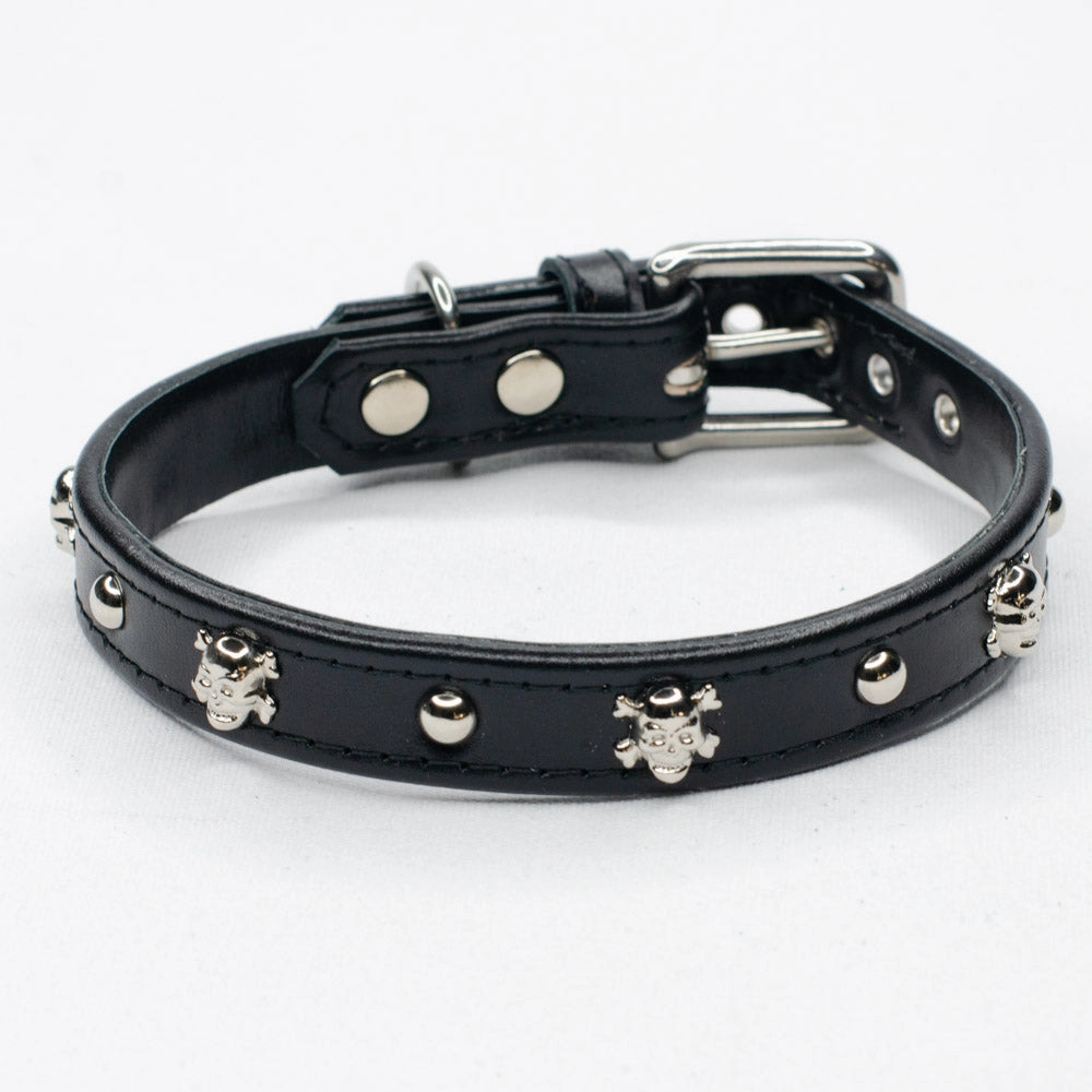 Bounty Studded Leather Dog Collar by Petiquette