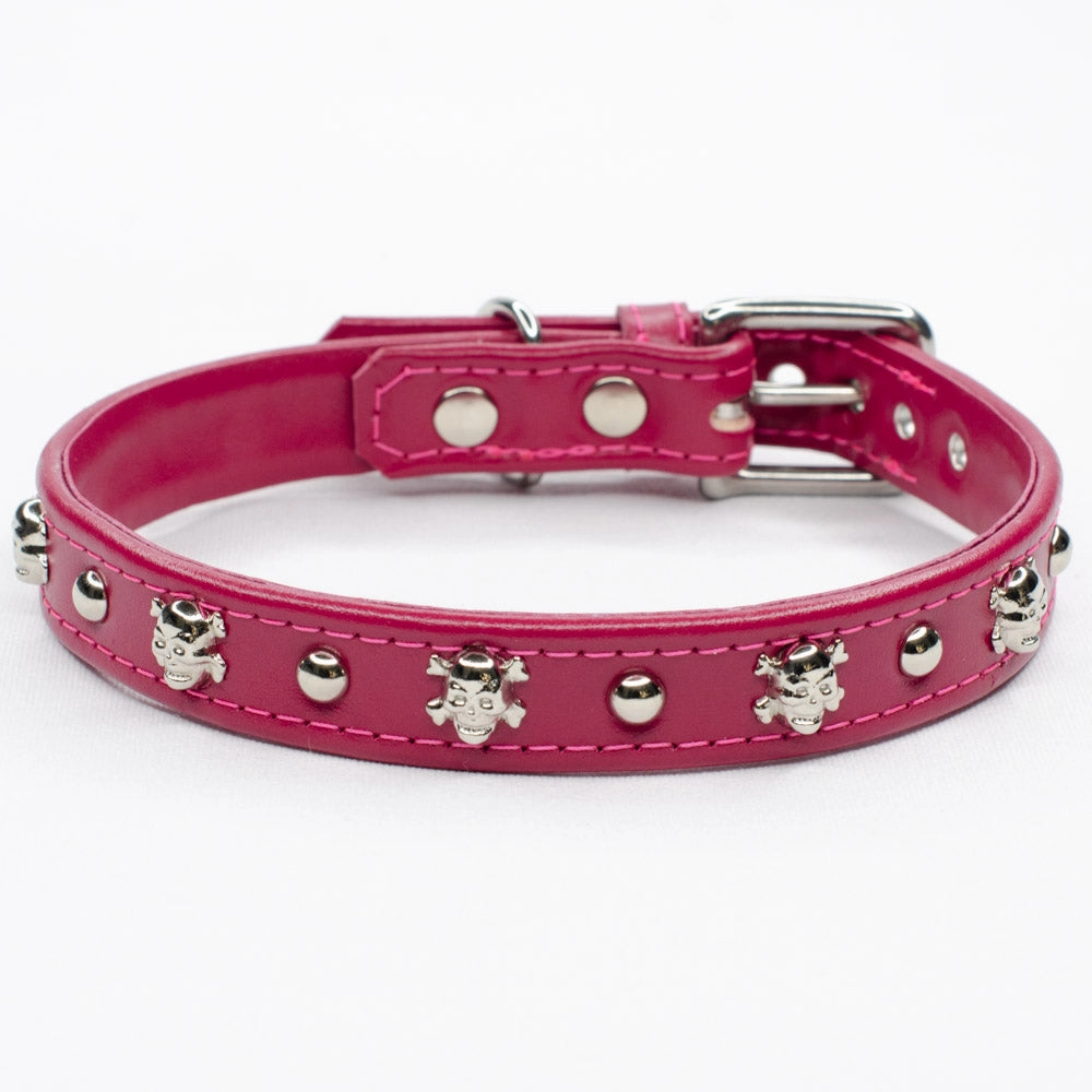 Bounty Studded Leather Dog Collar by Petiquette