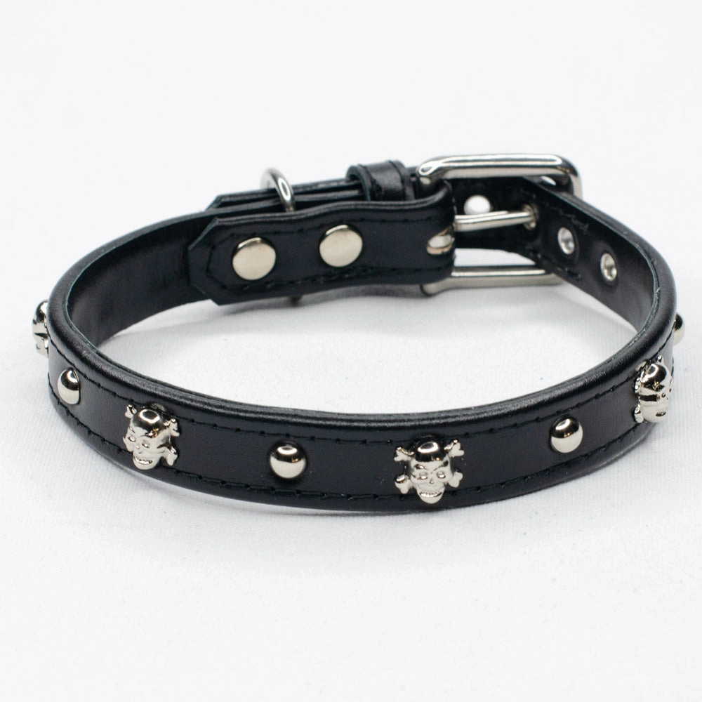 Bounty Studded Leather Dog Collar by Petiquette