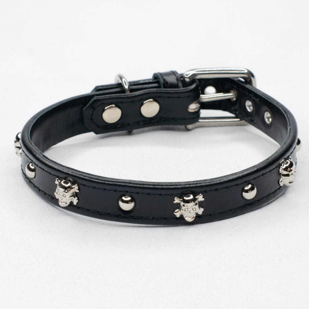 Bounty Studded Leather Dog Collar by Petiquette