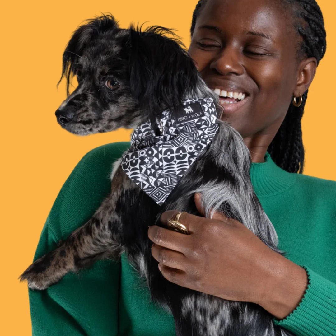 Bow Wow Haus Dog Bandana by Hiro and Wolf