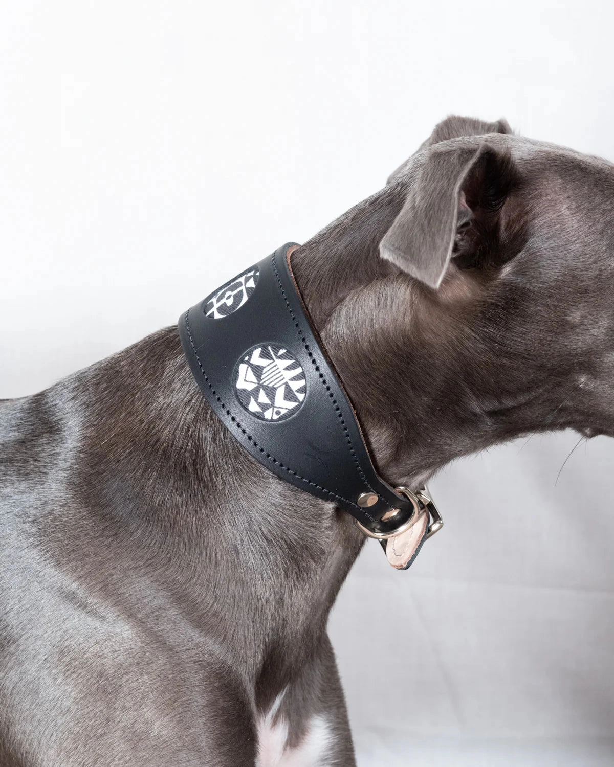 Bow Wow Haus Hound Collar by Hiro And Wolf