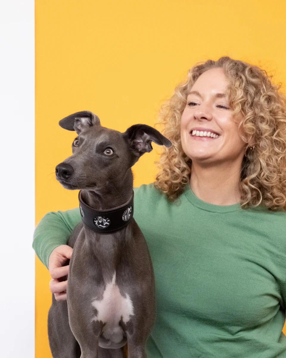Bow Wow Haus Hound Collar by Hiro And Wolf