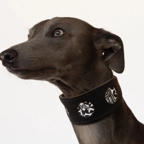 Bow Wow Haus Hound Collar by Hiro And Wolf