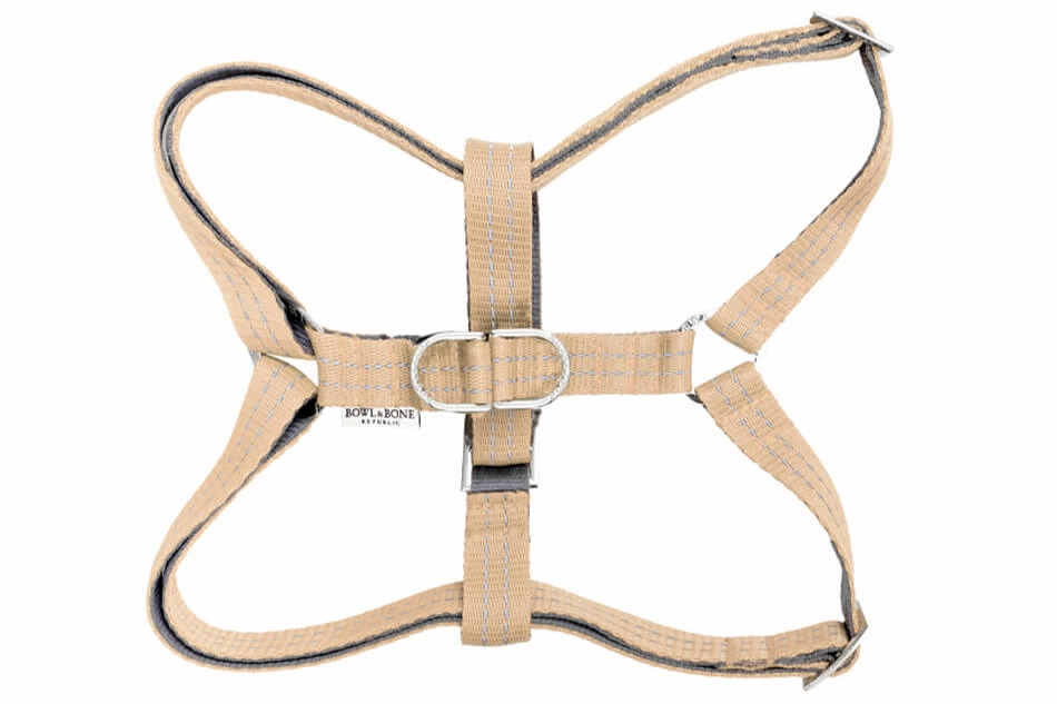 Bowl and Bone Active Beige Dog Harness and Lead Set