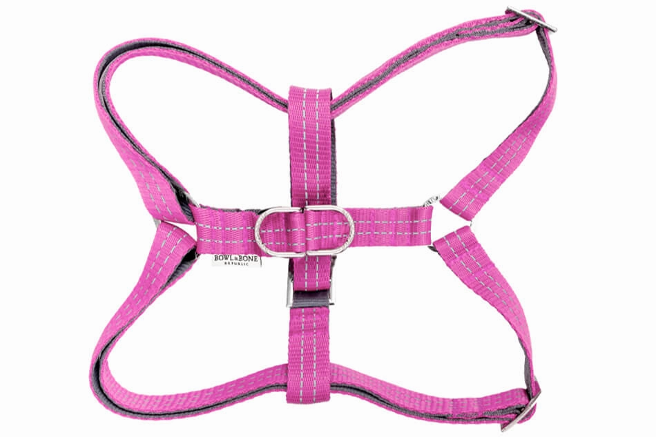 Bowl and Bone Active Pink Dog Harness and Lead Set