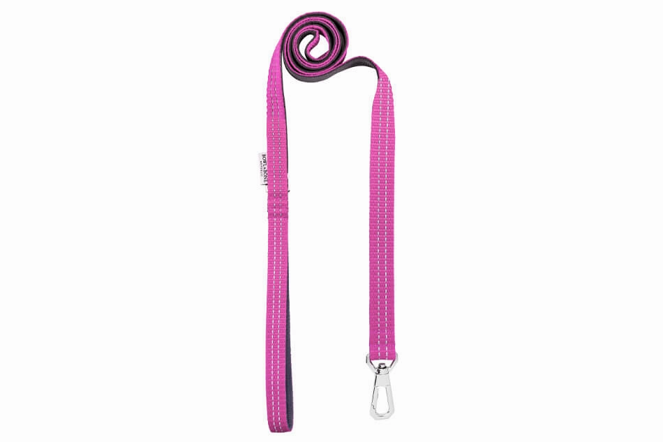Bowl and Bone Active Pink Dog Harness and Lead Set