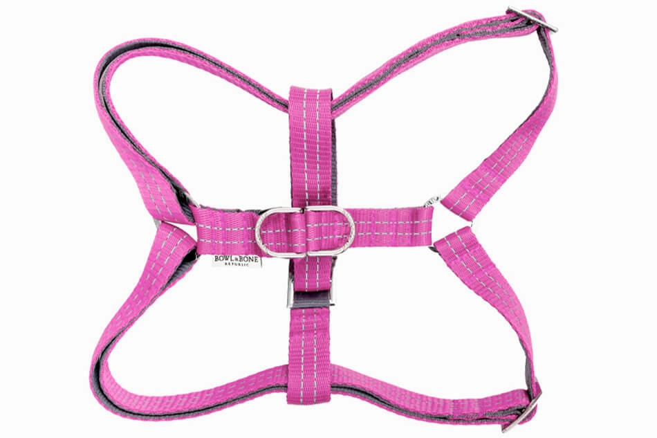 Bowl and Bone Active Pink Dog Harness and Lead Set