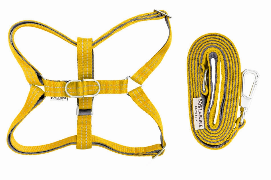 Bowl and Bone Active Yellow Dog Harness