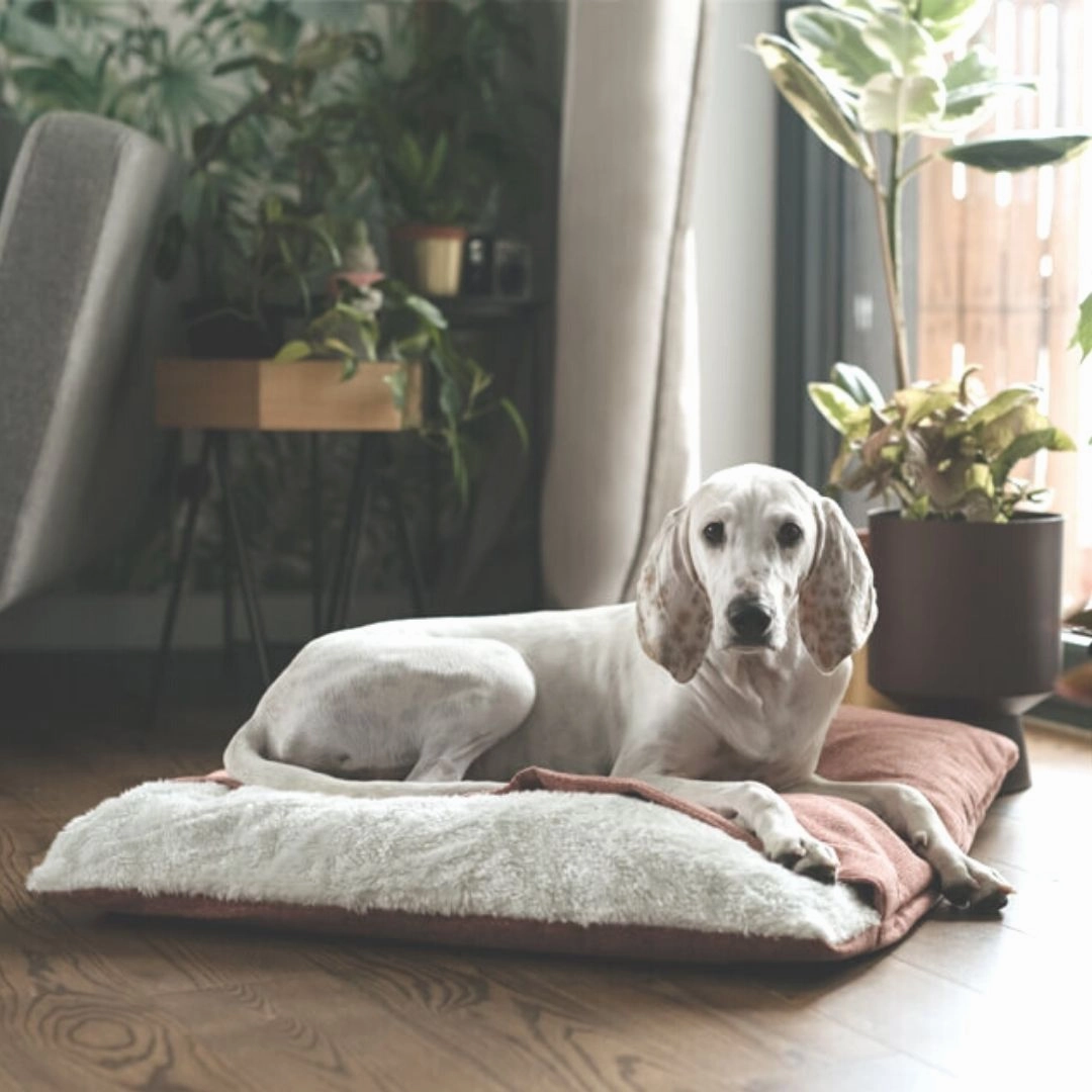 Bowl and Bone Bliss Dog Sleeping Bag Pink