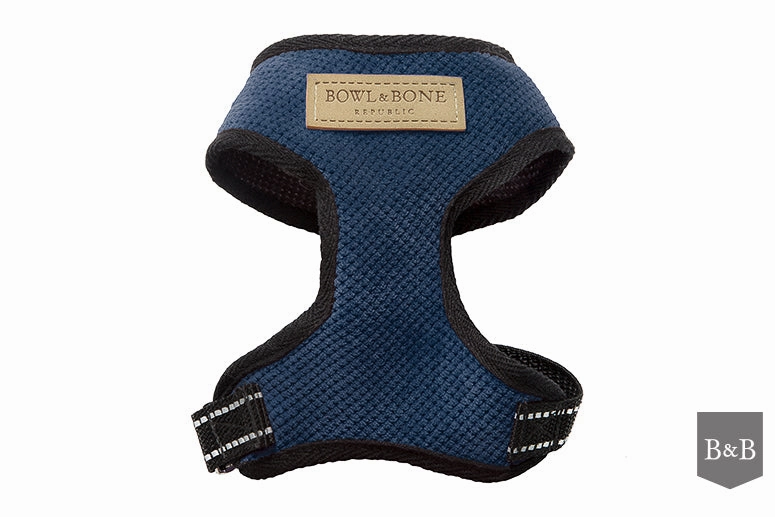 Bowl and Bone Candy Blue Dog Harness And Lead Set