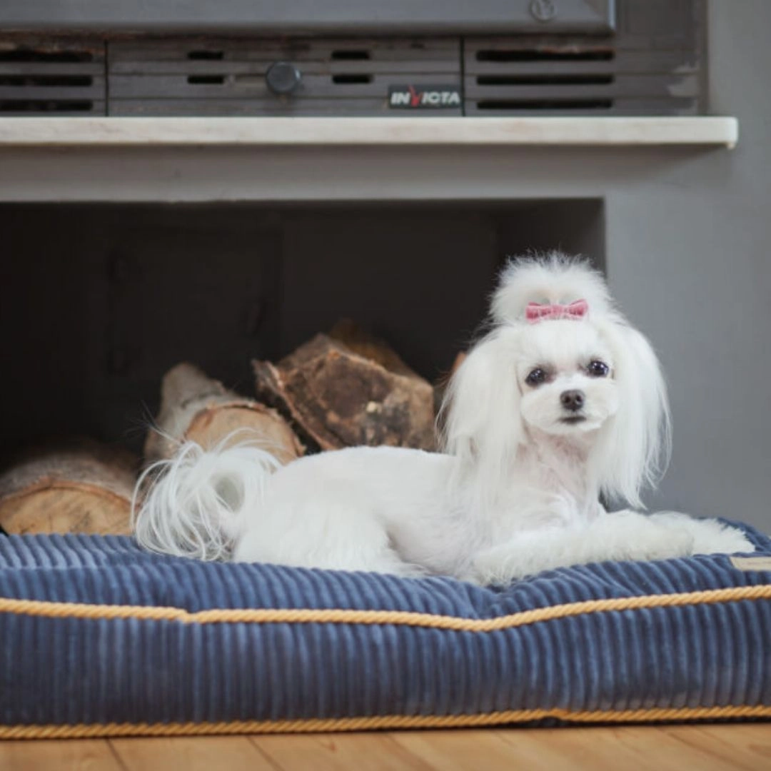 Bowl and Bone Deco Sapphire Dog Bed Cushion
