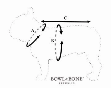 Bowl and Bone Orange Storm Dog Raincoat