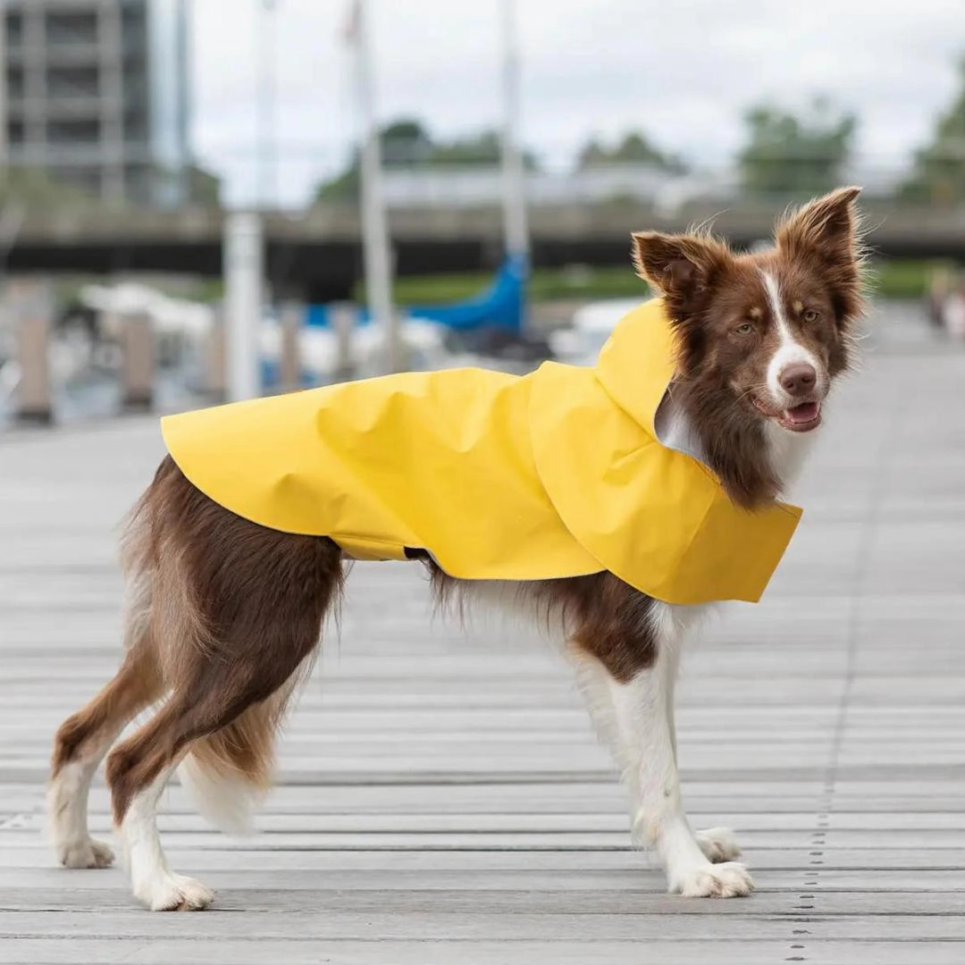 Bowl and Bone Orange Storm Dog Raincoat