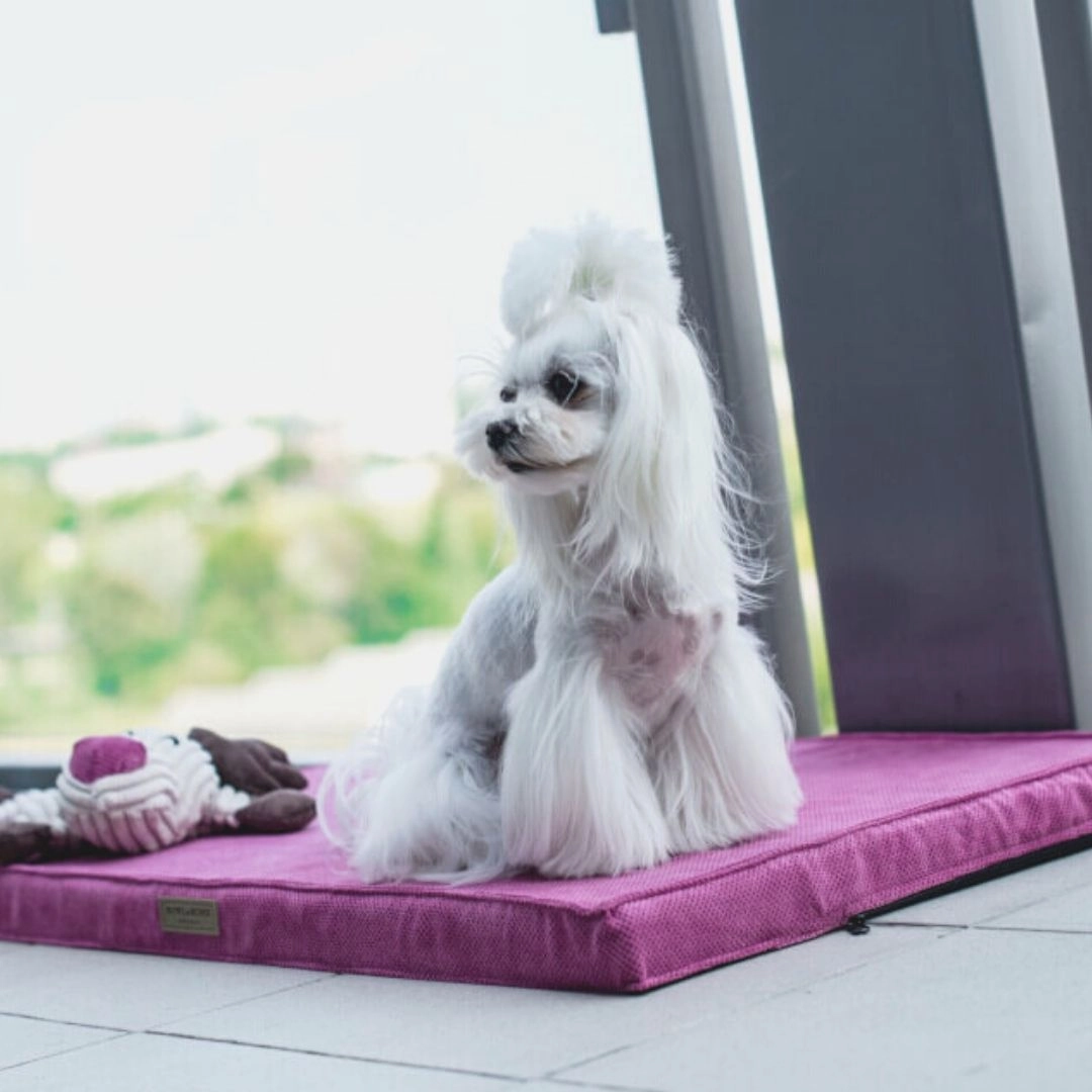 Bowl and Bone Rose Foam Dog Mat