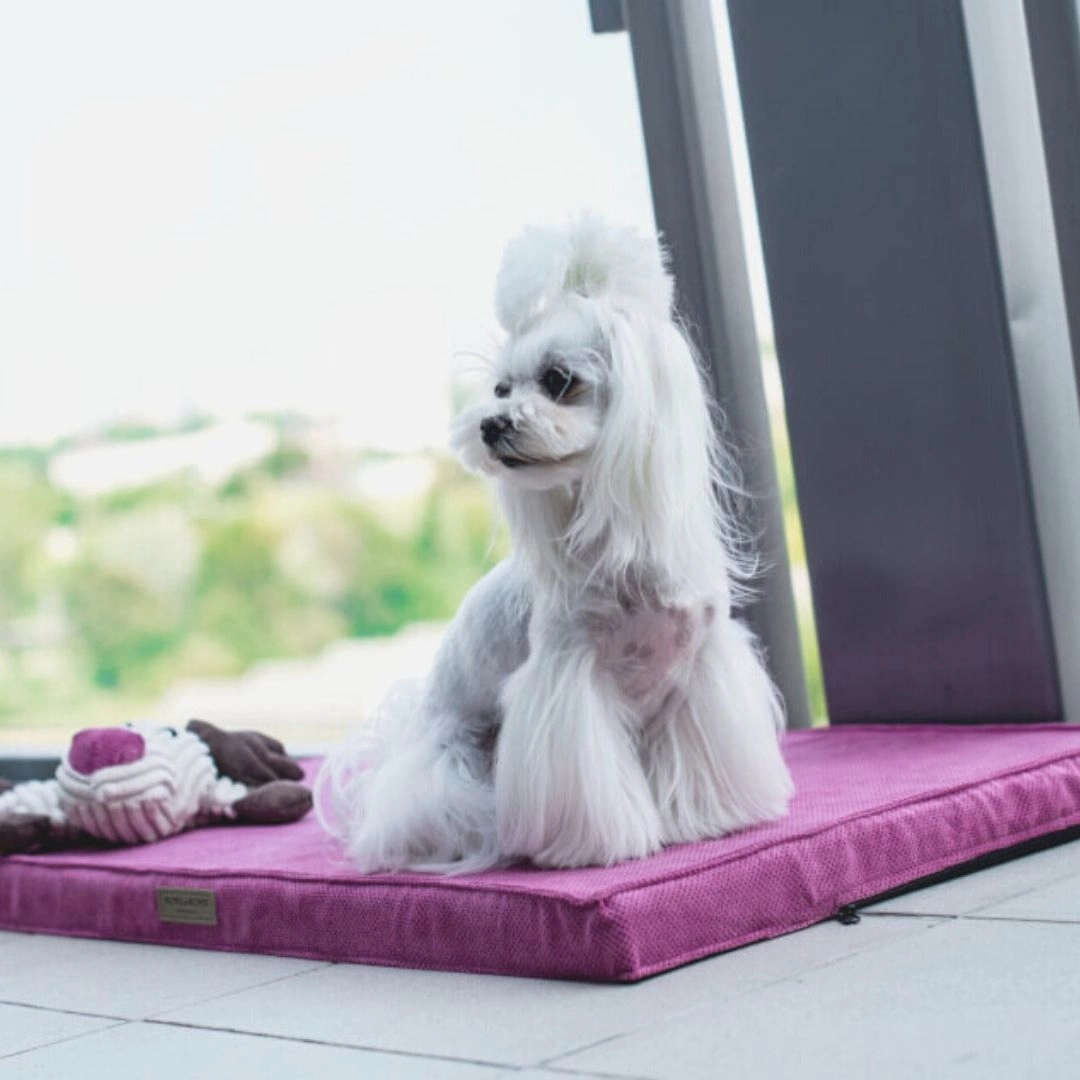Bowl and Bone Rose Foam Dog Mat