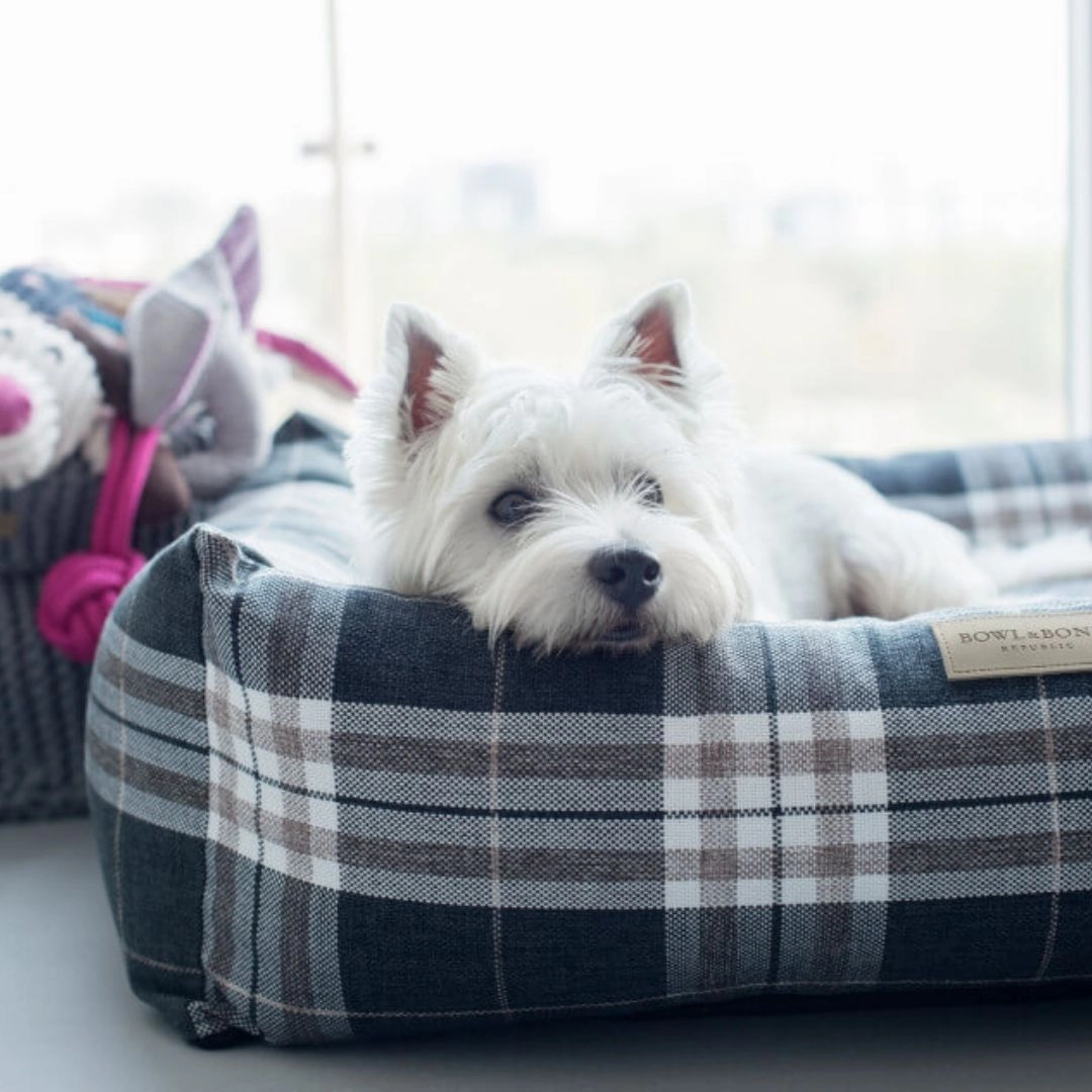 Bowl and Bone Scott Blue Dog Bed
