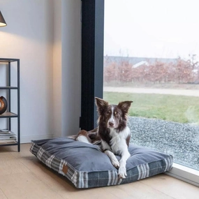 Bowl and Bone Scott Graphite Dog Cushion