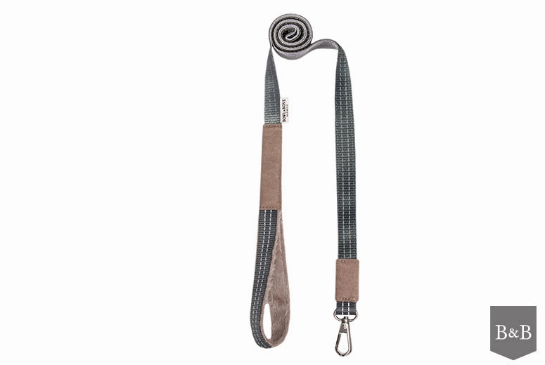 Bowl and Bone Yeti Brown Dog Harness And Lead Set