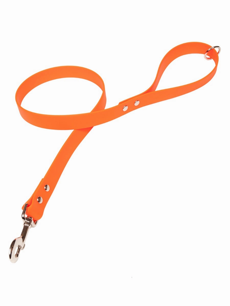 Bright Biothane Vegan Leather Waterproof Dog Leads