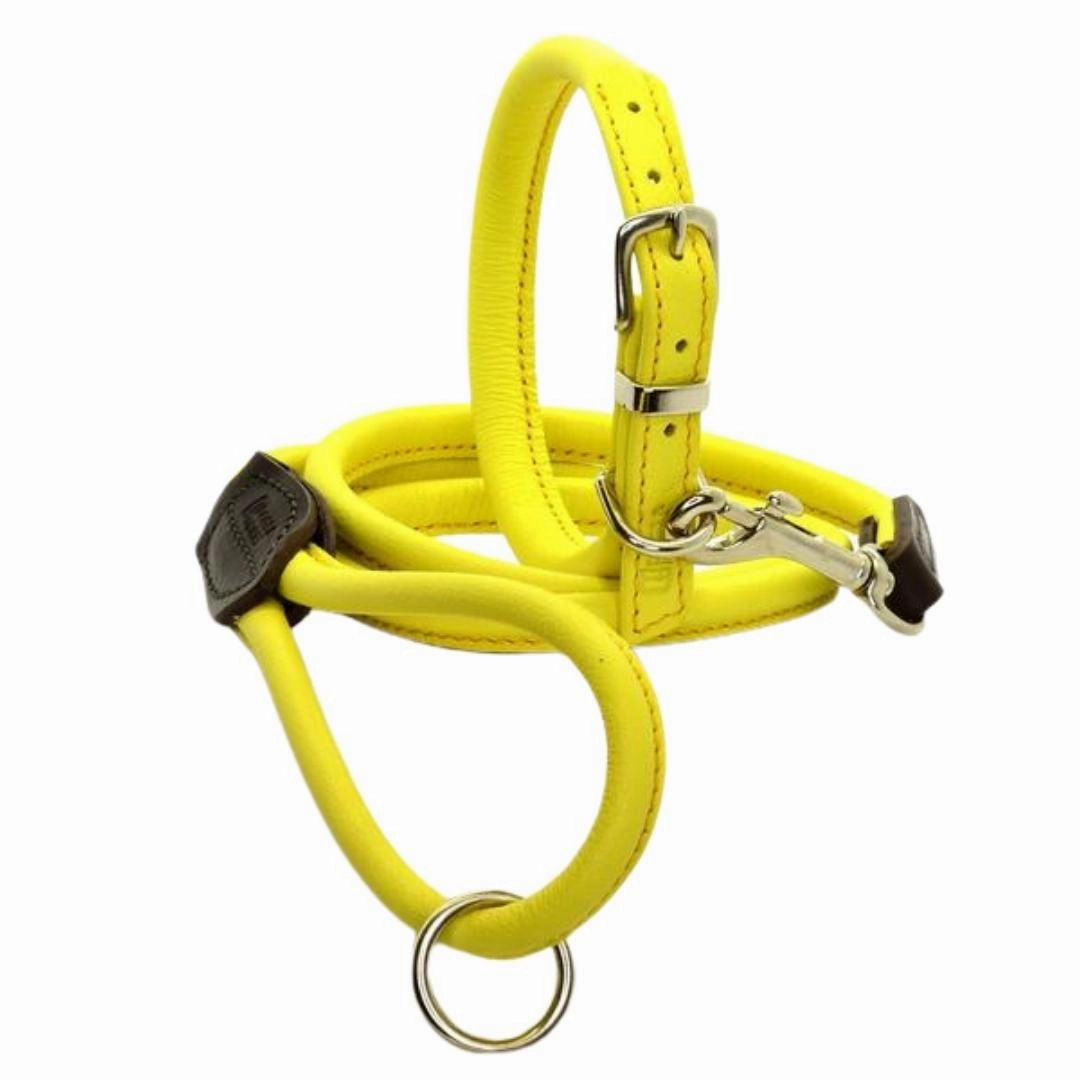 Bright Yellow Rolled Leather Dog Collar by Dogs & Horses
