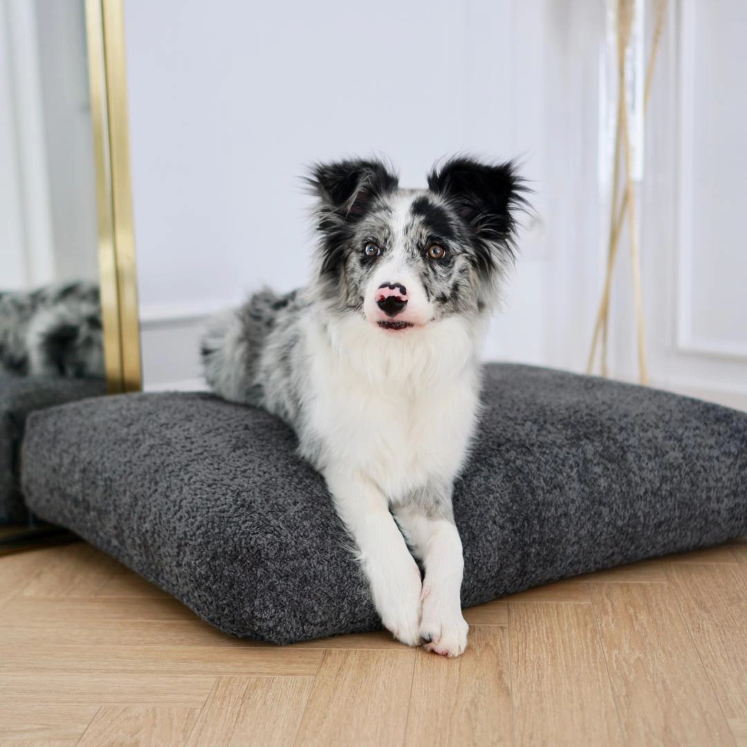 BUKLAA Anthracite Boucle Cushion Dog Bed by Labbvenn