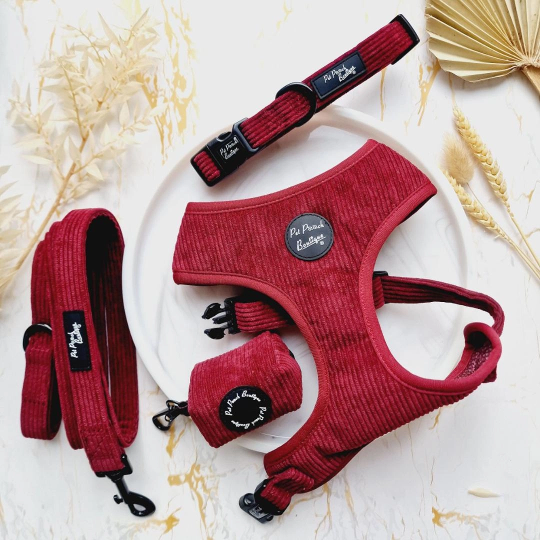 Burgundy Cord Dog Harness