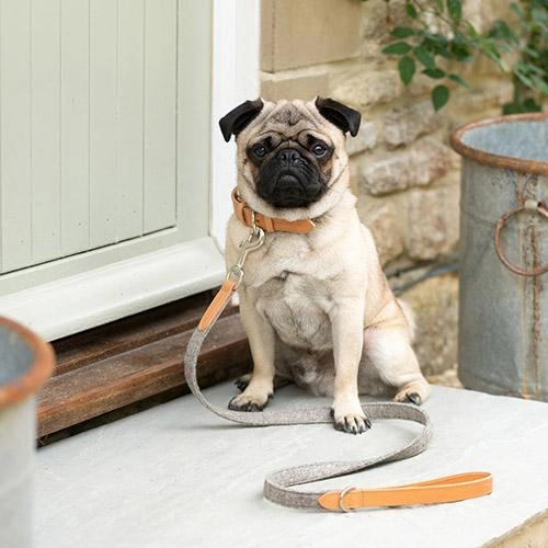 Camello Leather & Grey Tweed Dog Collar By Mutts & Hounds