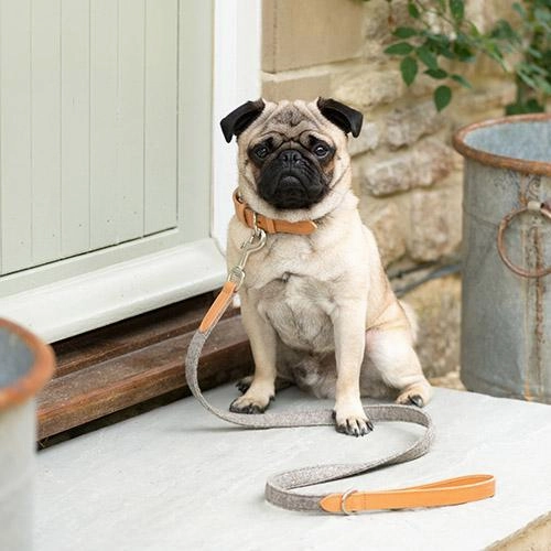 Camello Leather & Grey Tweed Dog Collar By Mutts & Hounds