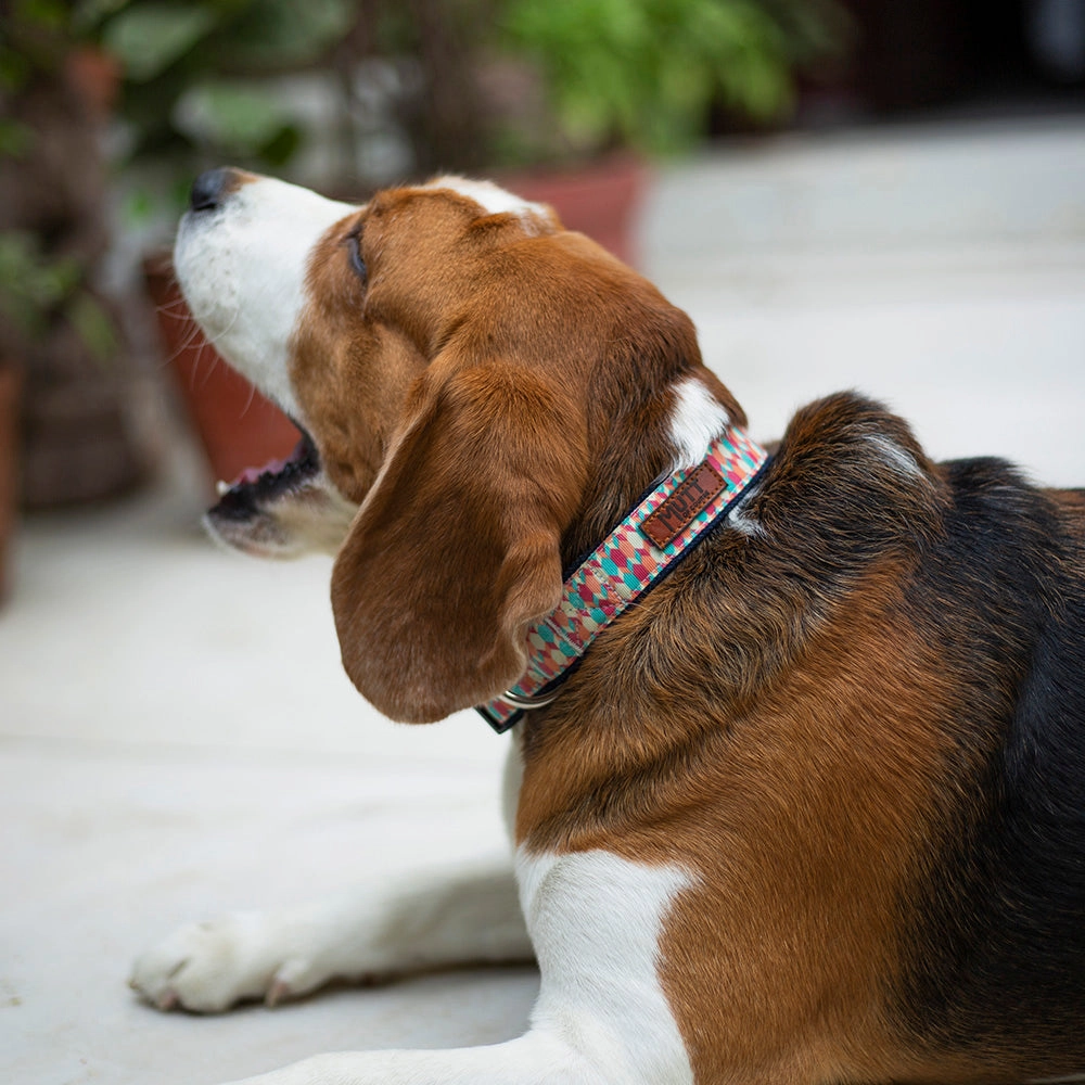Candy Barr Collar