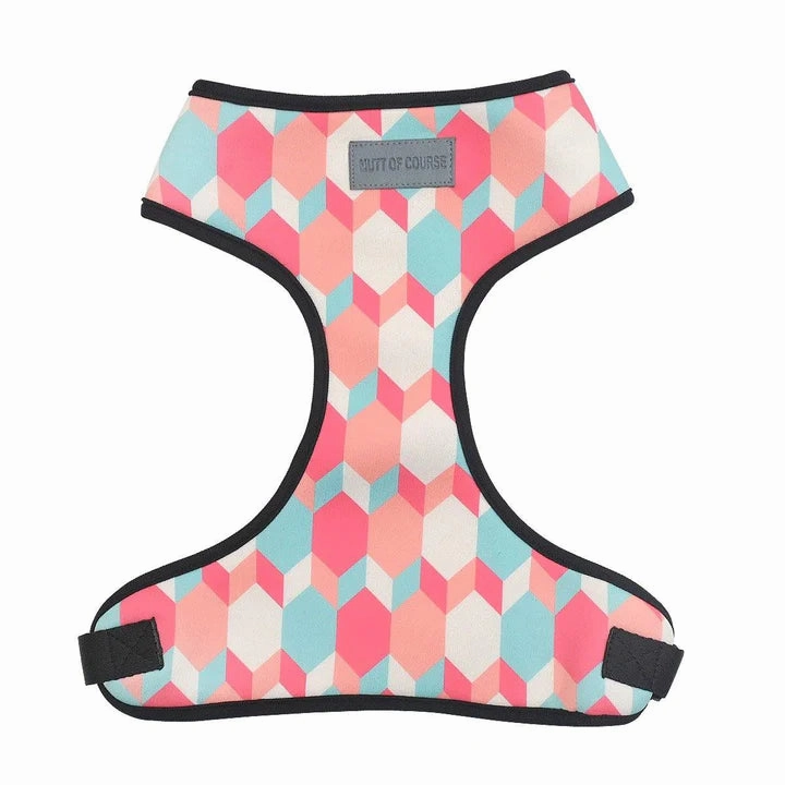 Candy Barr Harness