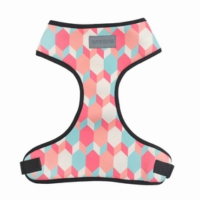 Candy Barr Harness