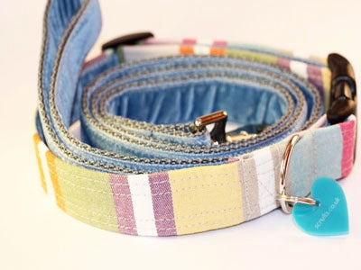 Cassata Water Repellent Dog Collar and Velvet Lead Set