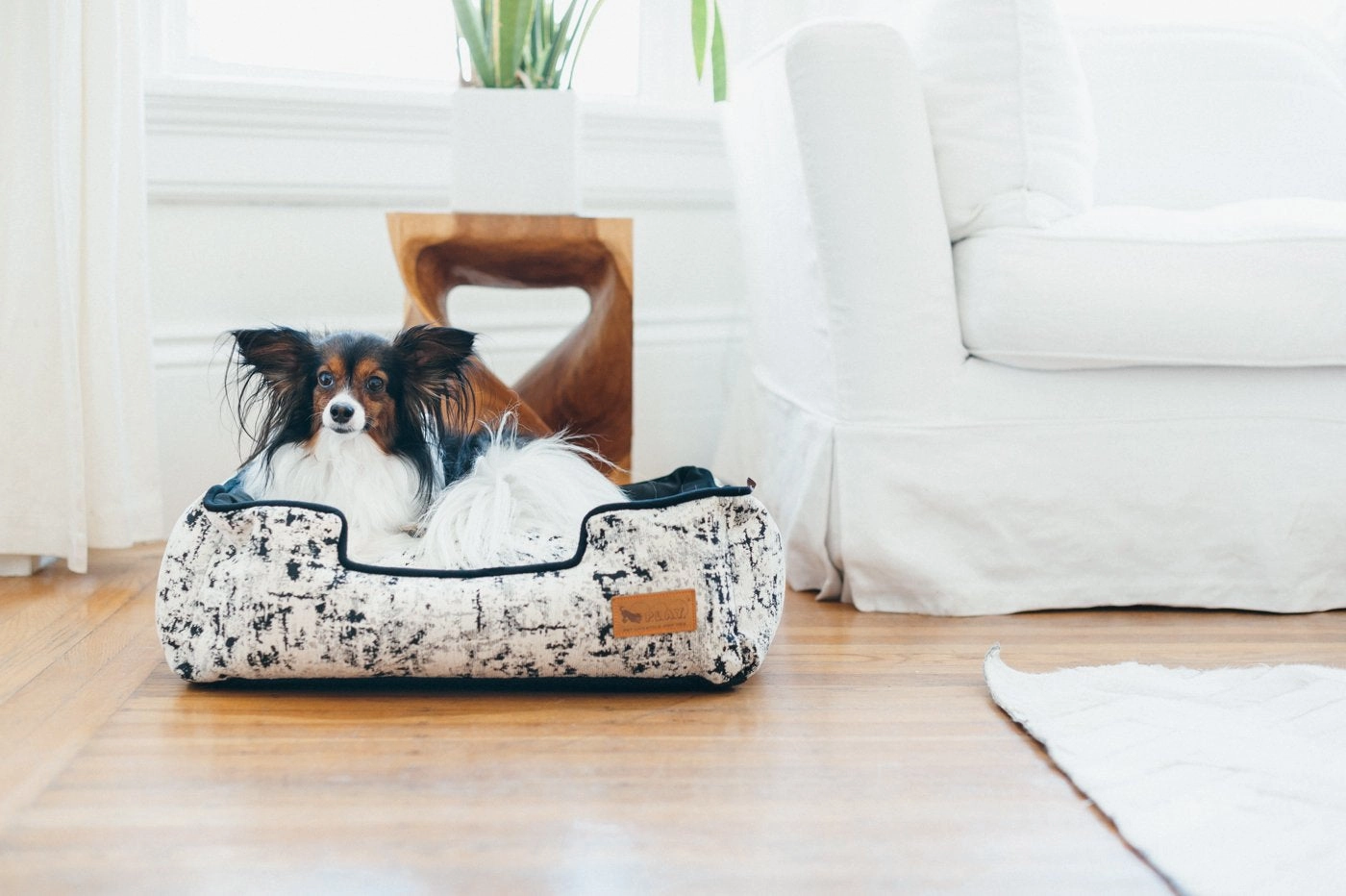 Celestial Night Sky Black Lounge Dog Bed by P.L.A.Y