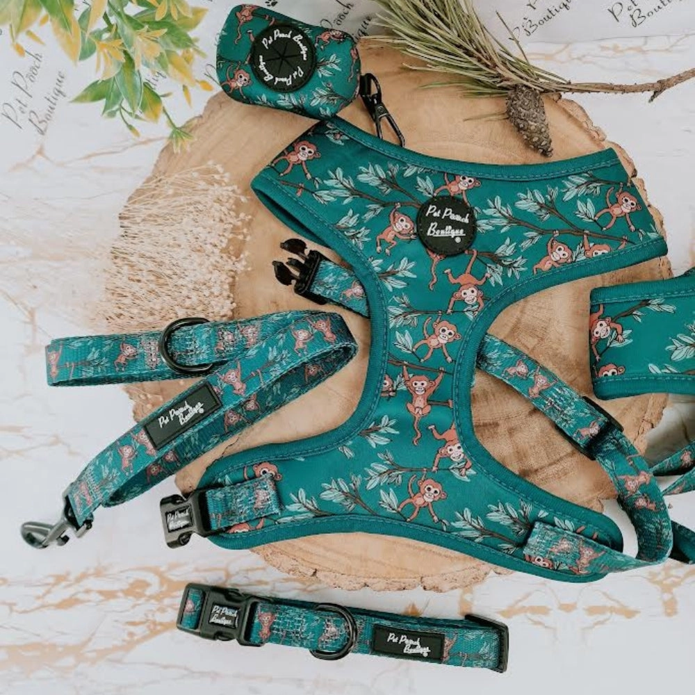 Cheeky Monkey Dog Harness