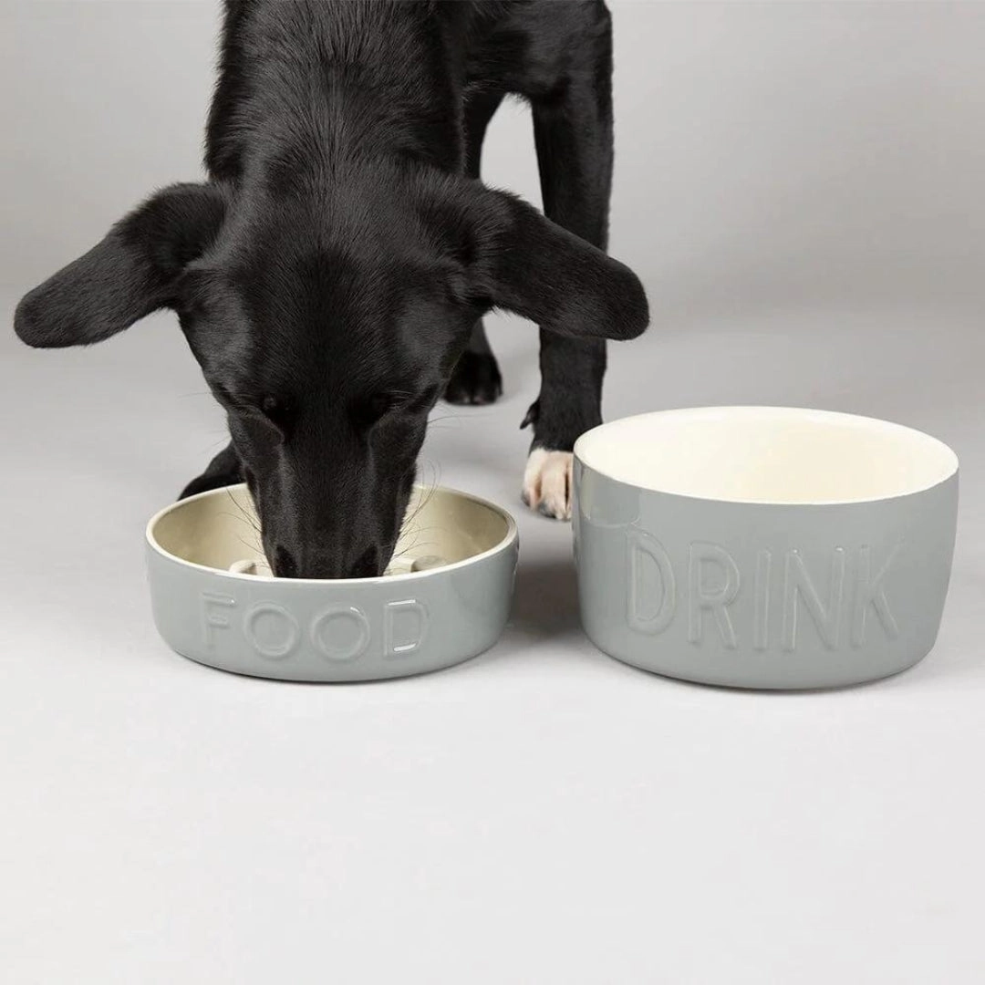 Classic 2 Piece Dog Slow Feeder & Water Bowl Set - Grey