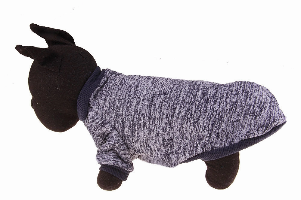 Colorful pet clothes pet two-legged sweater